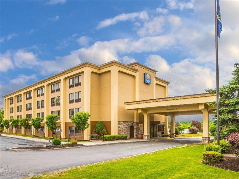 Comfort Inn Latham/Albany North Exterior photo