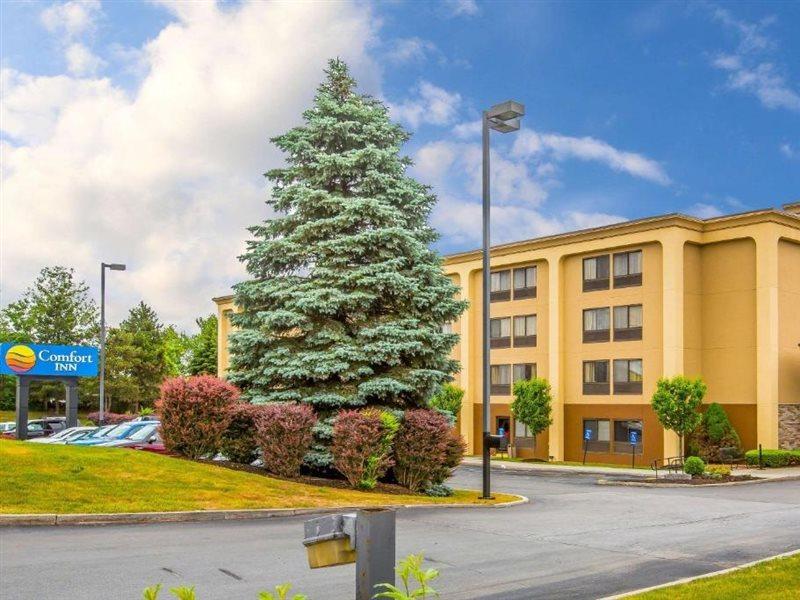 Comfort Inn Latham/Albany North Exterior photo