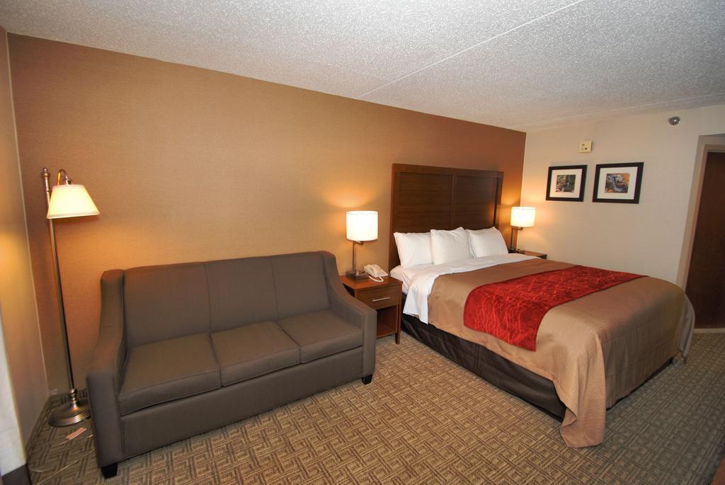 Comfort Inn Latham/Albany North Exterior photo