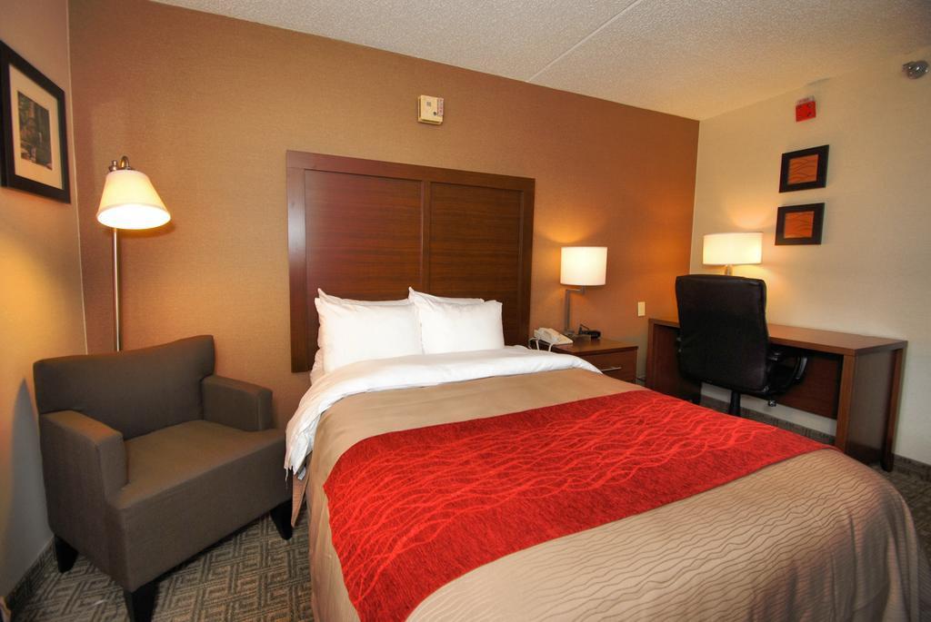 Comfort Inn Latham/Albany North Exterior photo